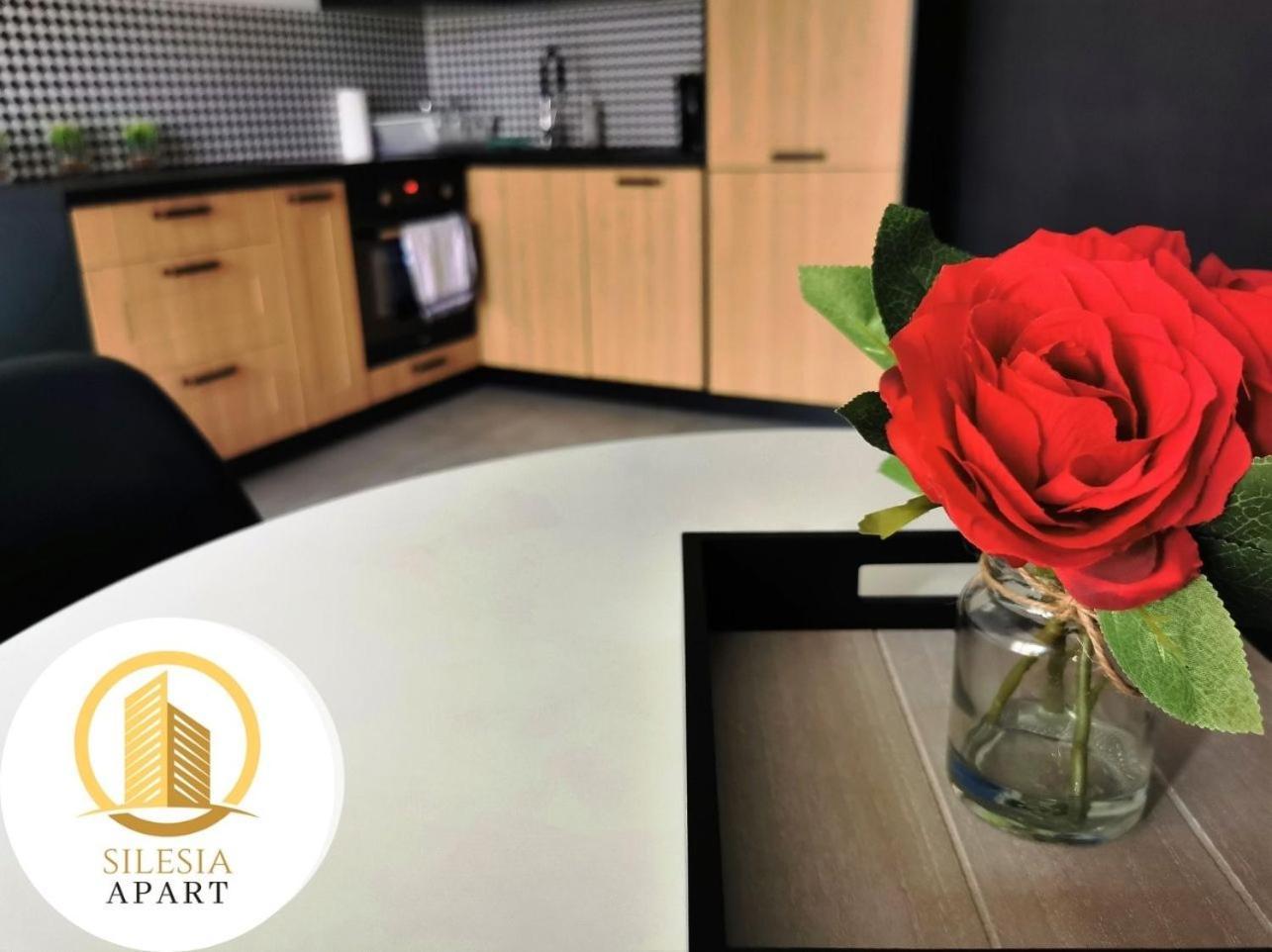 Apartament Granatowy Tychy Kültér fotó